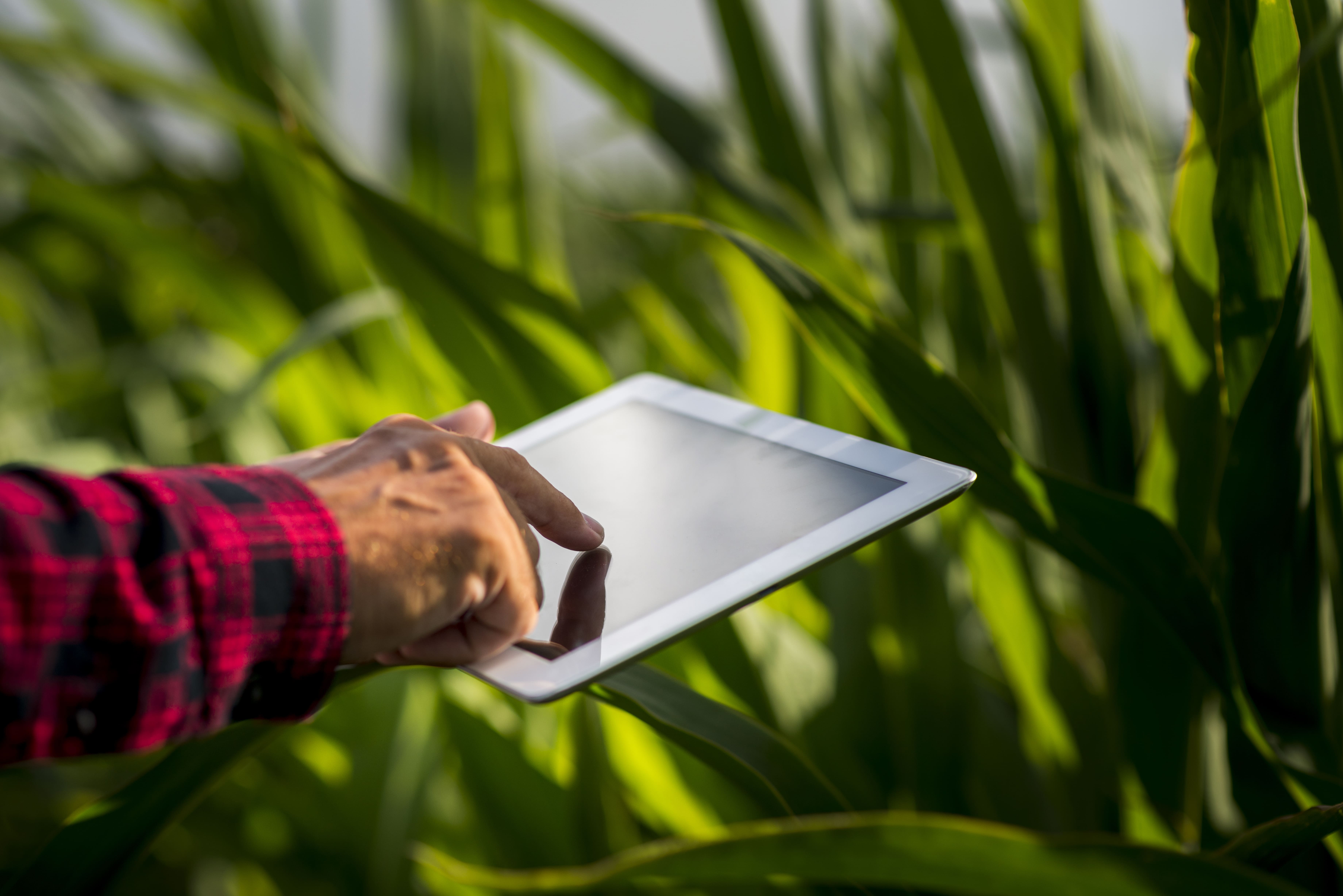 Agro brasileiro bate recorde em exportações no primeiro trimestre de 2026 e reforça a importância da logística no comércio internacional
